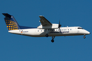 Lufthansa Regional (Augsburg Airways) de Havilland Canada DHC-8-314 (D-BACH) at  Frankfurt am Main, Germany