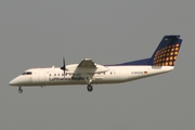 Lufthansa Regional (Augsburg Airways) de Havilland Canada DHC-8-314Q (D-BHOQ) at  Frankfurt am Main, Germany