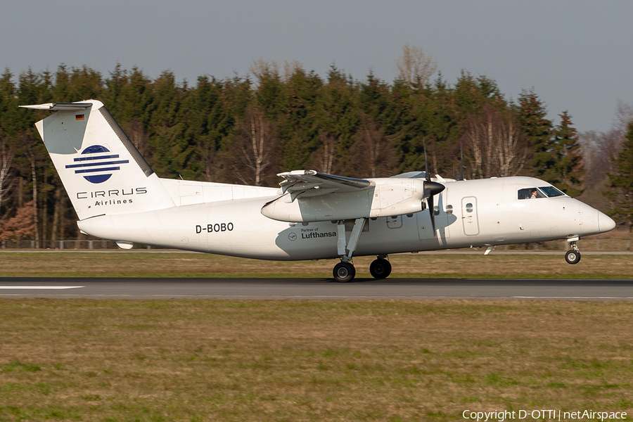 Cirrus Airlines de Havilland Canada DHC-8-102 (D-BOBO) | Photo 293078