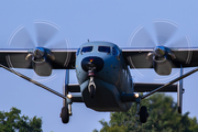 German Air Force PZL-Mielec M28-05 Skytruck (D-CPDB) at  Westerstede-Felde, Germany