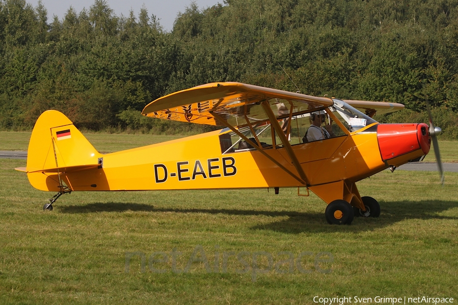 (Private) Piper PA-18-95 Super Cub (D-EAEB) | Photo 588497