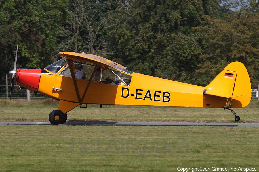 (Private) Piper PA-18-95 Super Cub (D-EAEB) | Photo 589477
