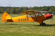 (Private) Piper PA-18-95 Super Cub (D-EAEB) at  Itzehoe - Hungriger Wolf, Germany