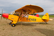 (Private) Piper PA-18-95 Super Cub (D-EAEB) at  Lübeck-Blankensee, Germany