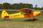 (Private) Piper PA-18-95 Super Cub (D-EBAD) at  Bienenfarm, Germany