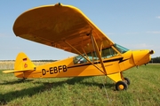 (Private) Piper PA-18-95 Super Cub (D-EBFB) at  Bienenfarm, Germany