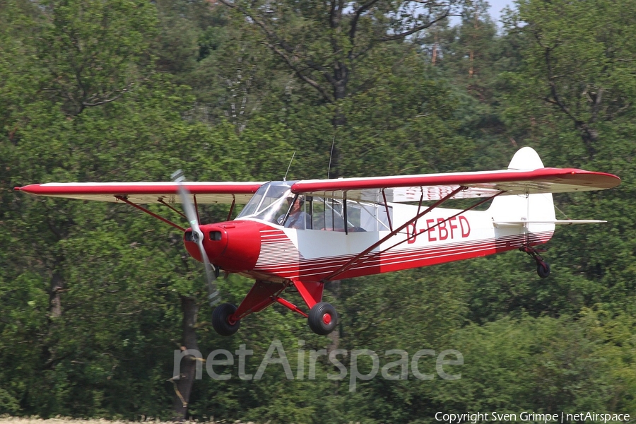 (Private) Piper PA-18-95 Super Cub (D-EBFD) | Photo 333828