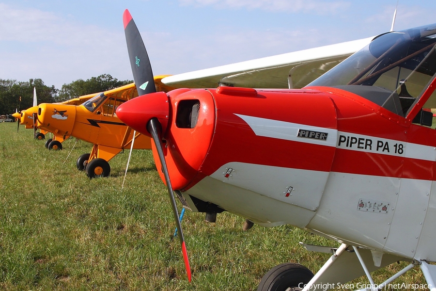 (Private) Piper PA-18-95 Super Cub (D-EBID) | Photo 332281