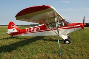 (Private) Piper PA-18-95 Super Cub (D-EBID) at  Bienenfarm, Germany