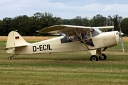 (Private) Taylorcraft Auster AOP Mk.V (D-ECIL) at  Bienenfarm, Germany