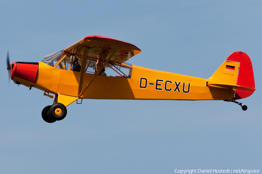 (Private) Piper PA-18-95 Super Cub (D-ECXU) | Photo 478248
