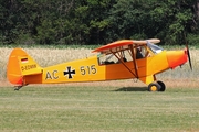 (Private) Piper PA-18-95 Super Cub (D-EDMW) at  Bienenfarm, Germany