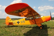 (Private) Piper PA-18-95 Super Cub (D-EDMW) at  Bienenfarm, Germany