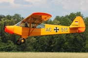 (Private) Piper PA-18-95 Super Cub (D-EDMW) at  Bienenfarm, Germany