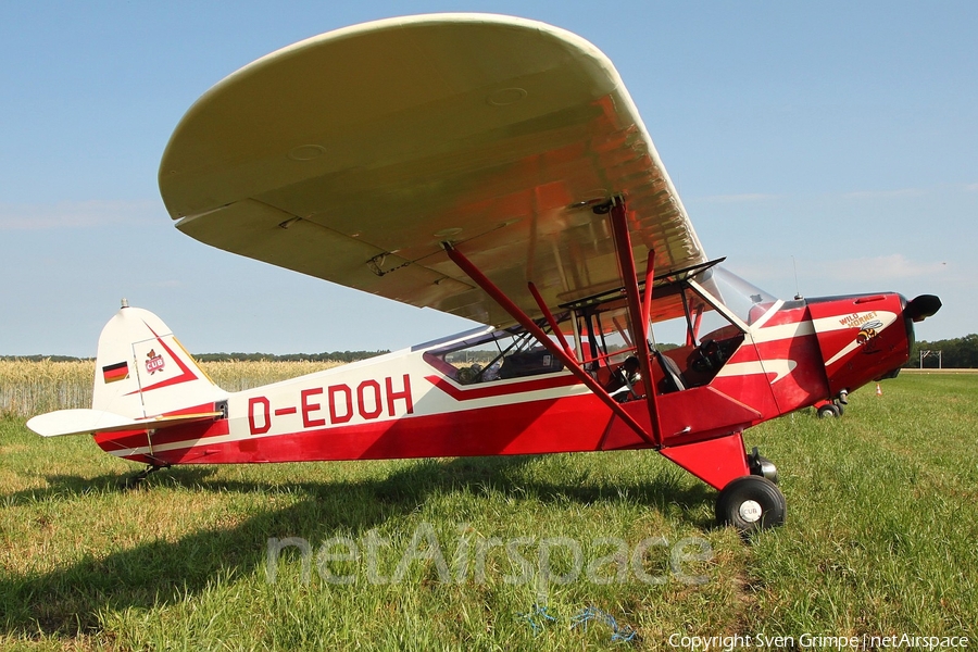 (Private) Piper L-4H Grasshopper (D-EDOH) | Photo 335472