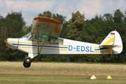 (Private) Piper PA-18-95 (L-18C) (D-EDSL) at  Bienenfarm, Germany