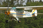 (Private) Piper PA-18-95 (L-18C) (D-EDSL) at  Bienenfarm, Germany