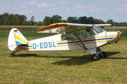 (Private) Piper PA-18-95 (L-18C) (D-EDSL) at  Bienenfarm, Germany