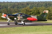 (Private) SIAI-Marchetti SF.260 (D-EDUR) at  St. Michaelisdonn, Germany