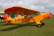 (Private) Piper PA-18-95 Super Cub (D-EFCN) at  Nordholz/Cuxhaven - Seeflughafen, Germany