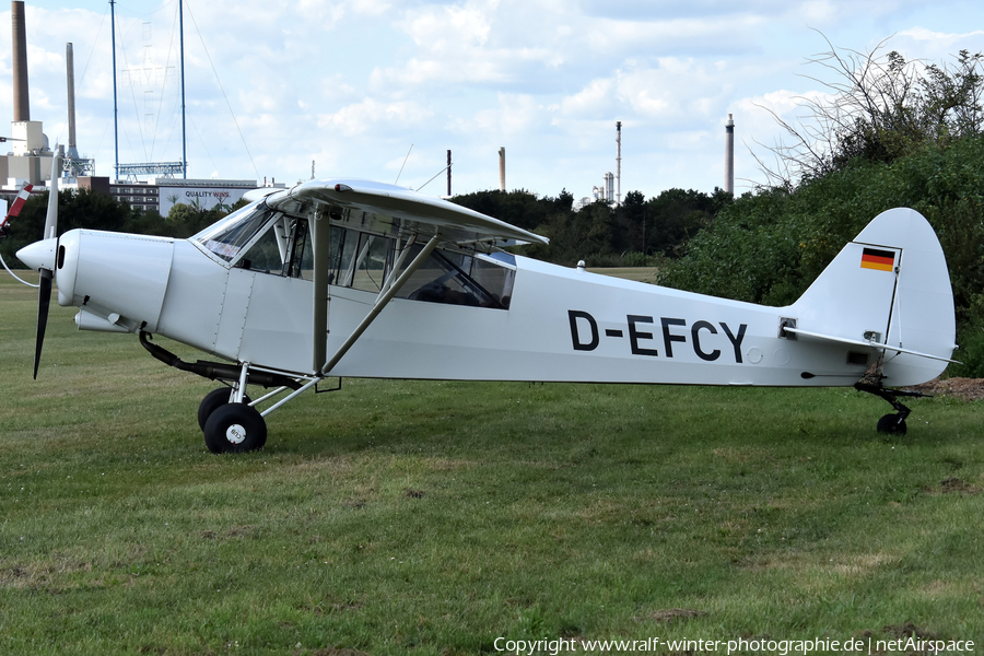 (Private) Piper PA-18-150 Super Cub (D-EFCY) | Photo 642403