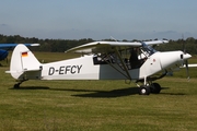 (Private) Piper PA-18-150 Super Cub (D-EFCY) at  Uetersen - Heist, Germany