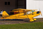 (Private) Piper J3C-65 Cub (D-EFHJ) at  Uetersen - Heist, Germany