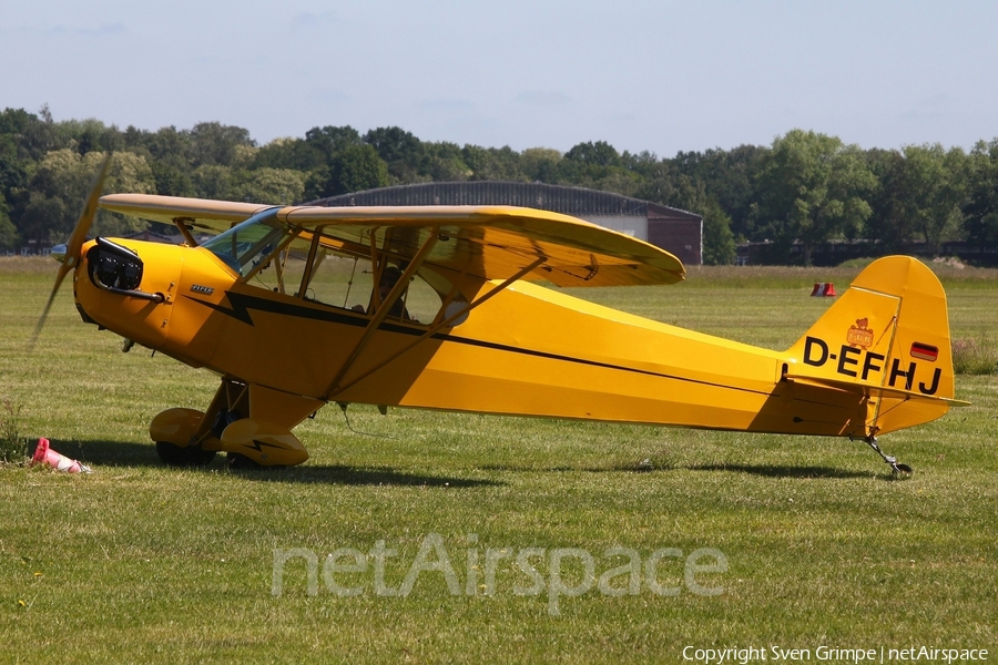 (Private) Piper J3C-65 Cub (D-EFHJ) | Photo 511181