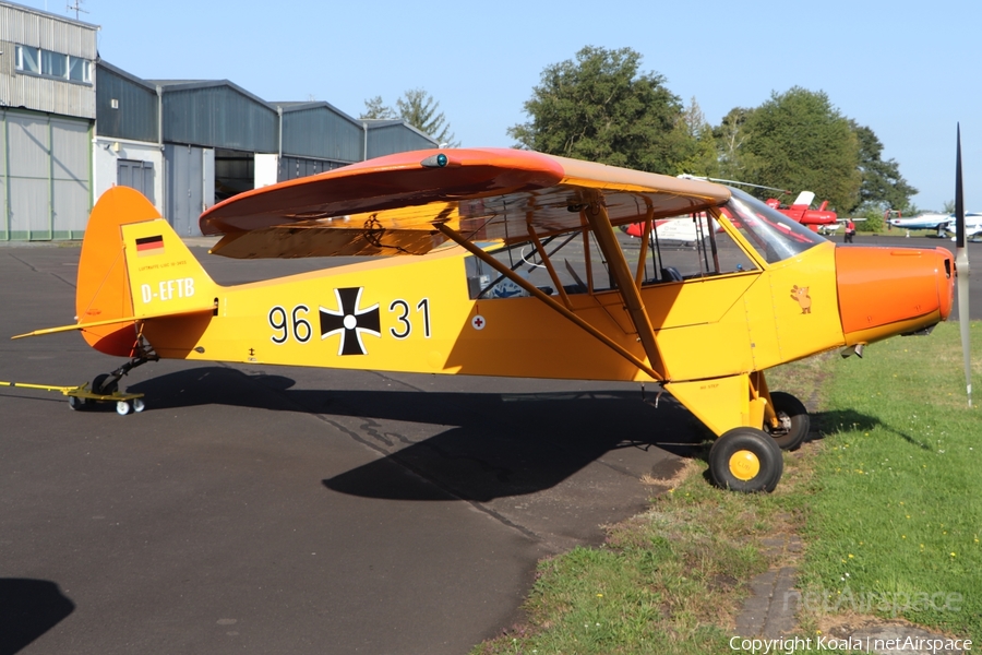 (Private) Piper PA-18-95 Super Cub (D-EFTB) | Photo 637595