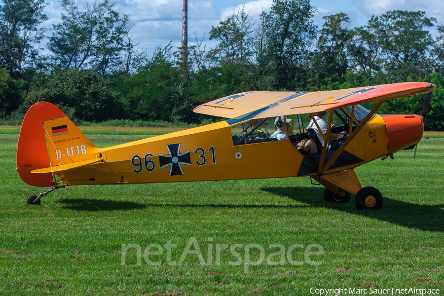 (Private) Piper PA-18-95 Super Cub (D-EFTB) | Photo 585831