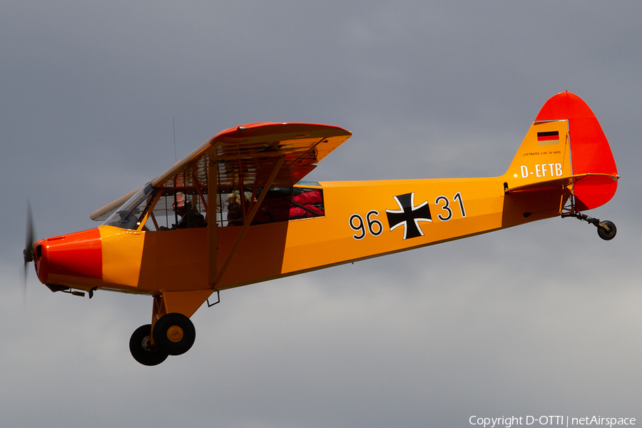 (Private) Piper PA-18-95 Super Cub (D-EFTB) | Photo 368714