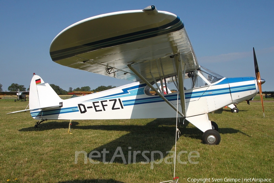 (Private) Piper PA-18-95 Super Cub (D-EFZI) | Photo 332725