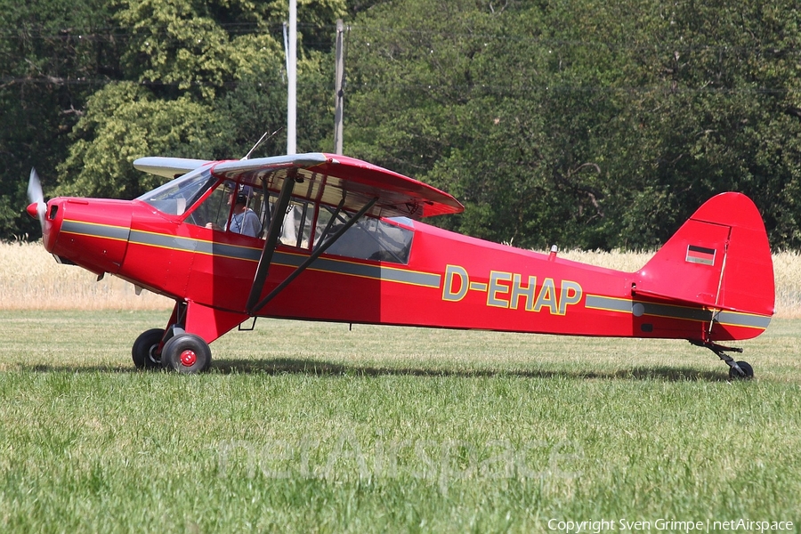 (Private) Piper PA-18-95 Super Cub (D-EHAP) | Photo 332728