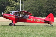 (Private) Piper PA-18-95 Super Cub (D-EHAP) at  Bienenfarm, Germany