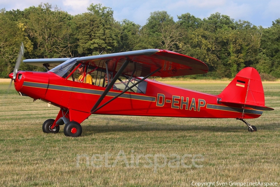 (Private) Piper PA-18-95 Super Cub (D-EHAP) | Photo 578938