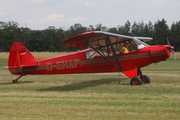 (Private) Piper PA-18-95 Super Cub (D-EHAP) at  Bienenfarm, Germany