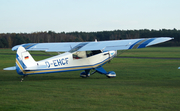 (Private) Piper PA-18-95 Super Cub (D-EHCF) at  Borkenberge, Germany