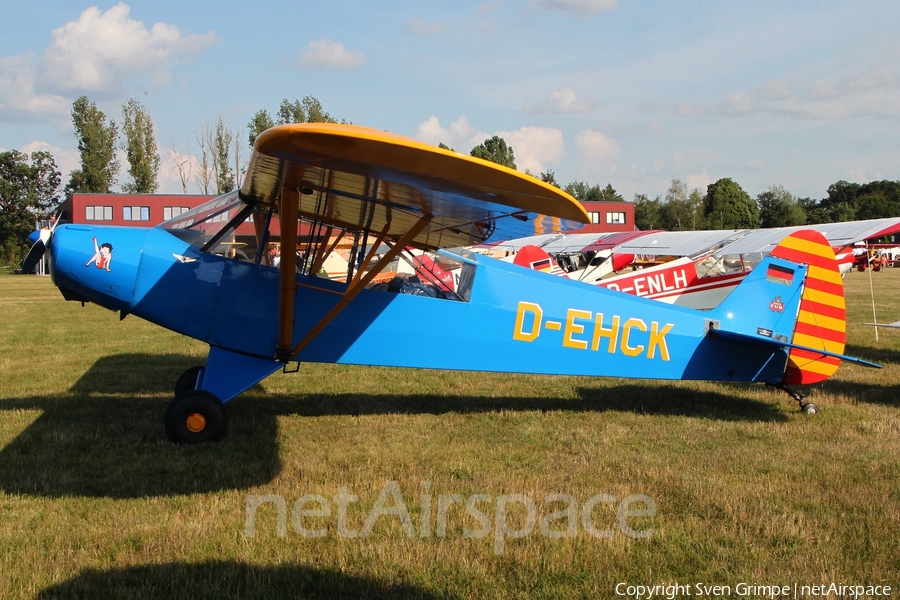 (Private) Piper PA-18-95 Super Cub (D-EHCK) | Photo 456803