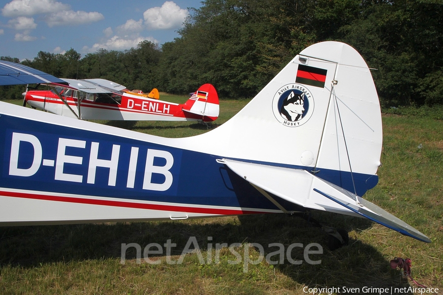 (Private) Aviat A-1B Husky (D-EHIB) | Photo 334387