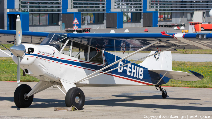 (Private) Aviat A-1B Husky (D-EHIB) | Photo 520192