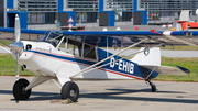 (Private) Aviat A-1B Husky (D-EHIB) at  Hamburg - Fuhlsbuettel (Helmut Schmidt), Germany