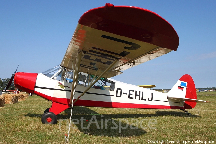 (Private) Piper PA-18-95 Super Cub (D-EHLJ) | Photo 332817