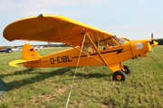 (Private) Piper PA-18-150 Super Cub (D-EIBL) at  Bienenfarm, Germany
