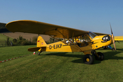 (Private) Piper L-4J Grasshopper (D-EJKP) at  Meschede-Schuren, Germany