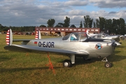 (Private) ERCO 415D Ercoupe (D-EJOR) at  Bienenfarm, Germany