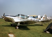 (Private) Globe GC-1B Swift (D-EJYB) at  UNKNOWN, (None / Not specified)