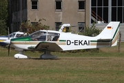 (Private) Robin DR.400/180 Regent (D-EKAI) at  Neumuenster, Germany