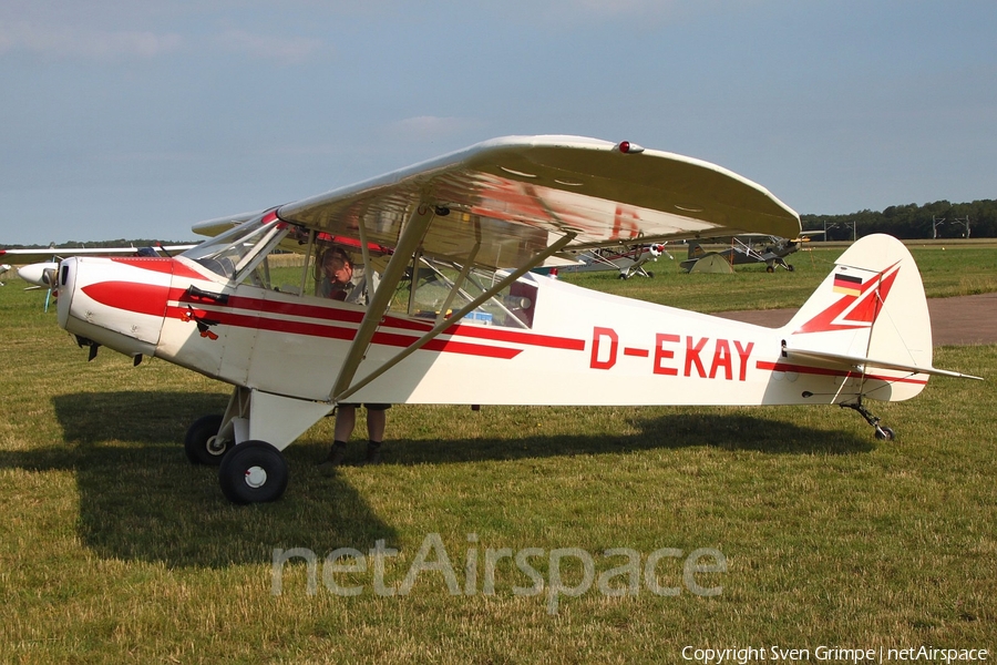 (Private) Piper PA-18-95 Super Cub (D-EKAY) | Photo 332824