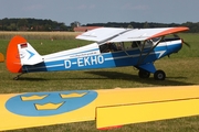 Flugschule Grade Piper PA-18-95 Super Cub (D-EKHO) at  Bienenfarm, Germany