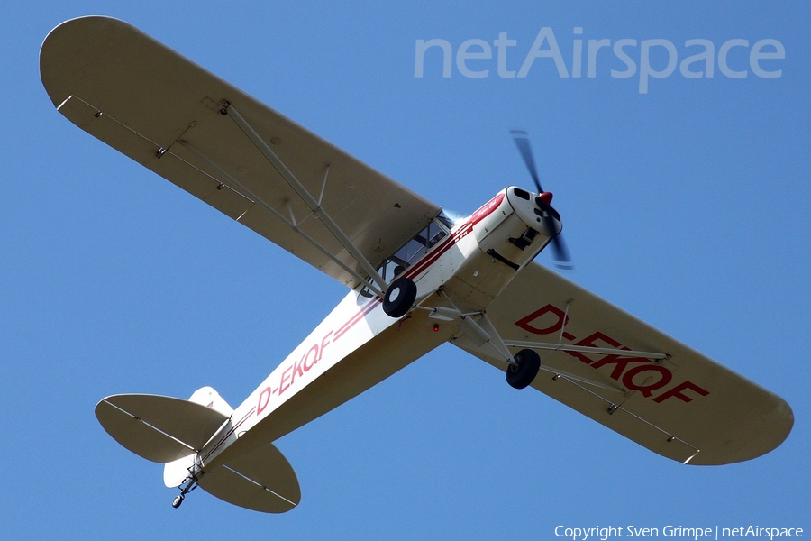 (Private) Piper PA-18-95 Super Cub (D-EKQF) | Photo 333156